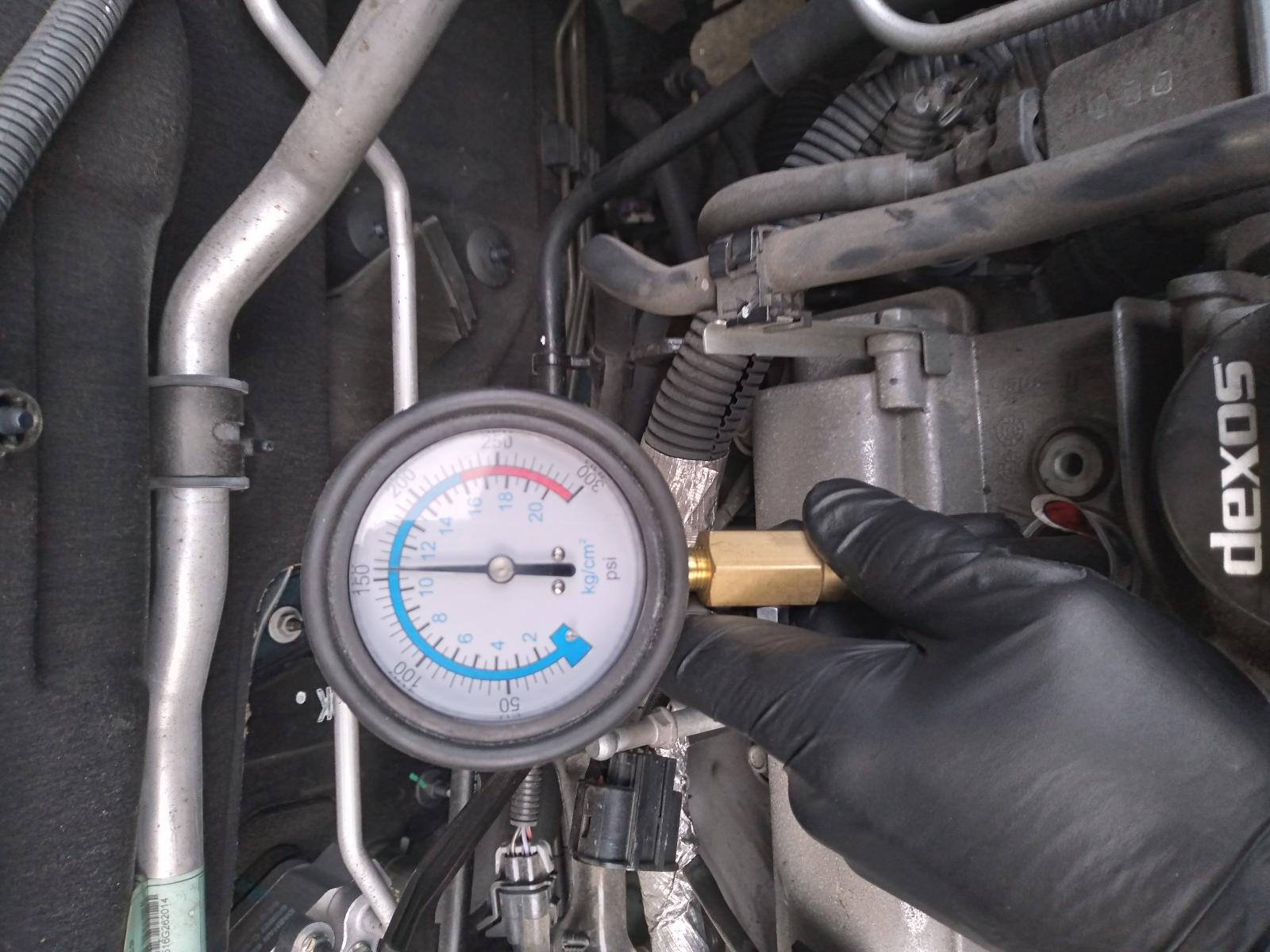 Contact us for Photo