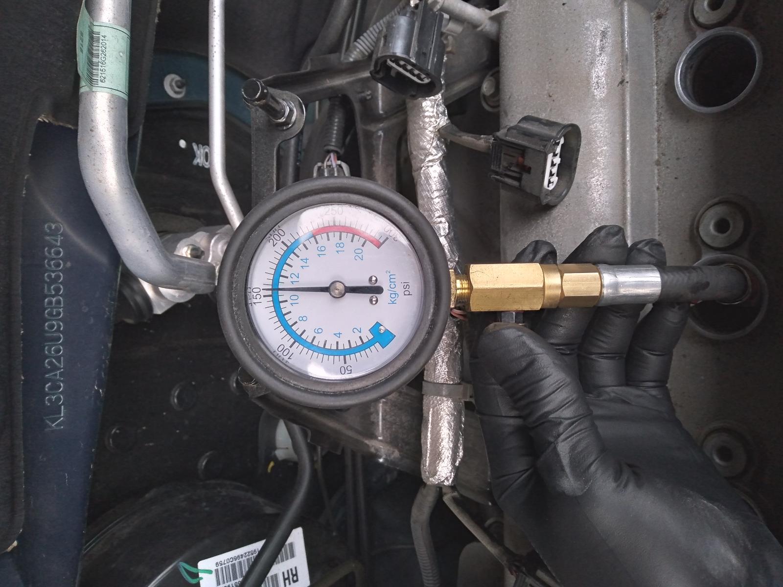 Contact us for Photo