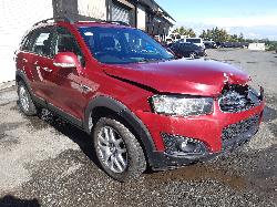 Contact us for Photo