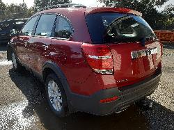 Contact us for Photo