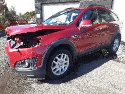 Contact us for Photo