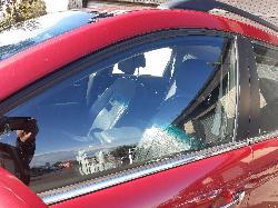 Contact us for Photo