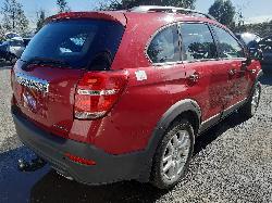 Contact us for Photo