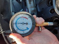 Contact us for Photo