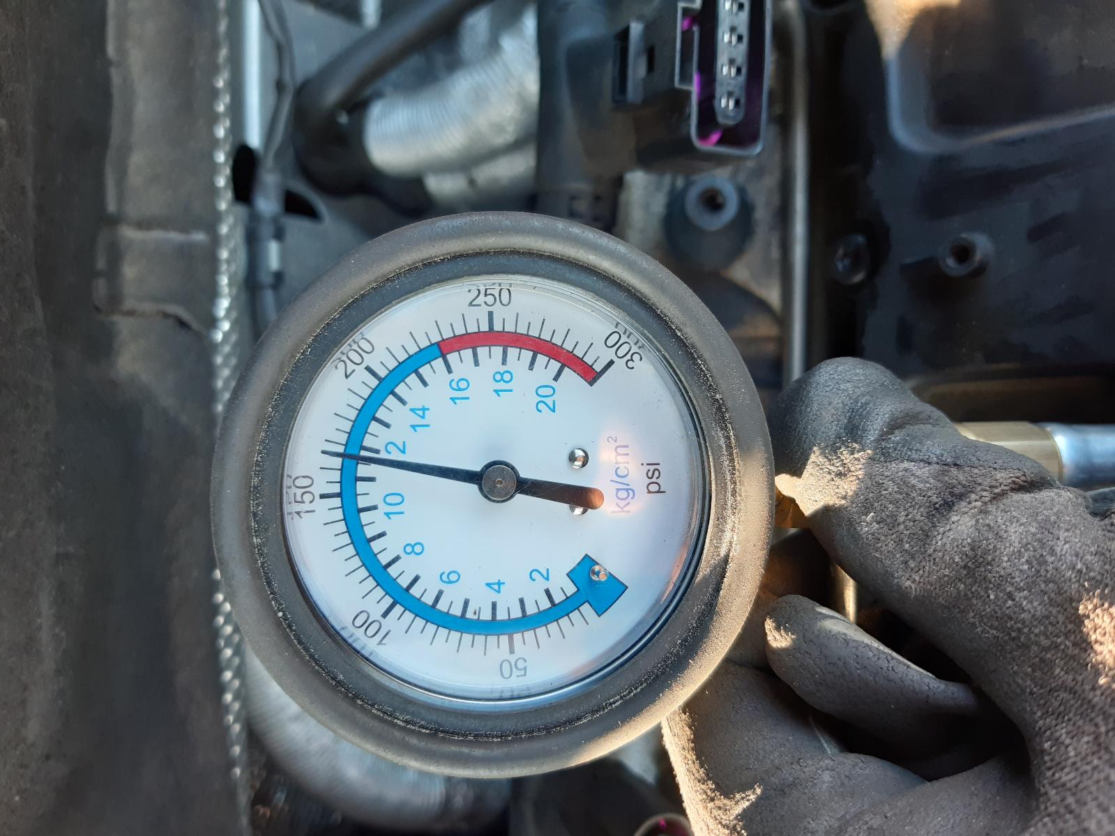 Contact us for Photo