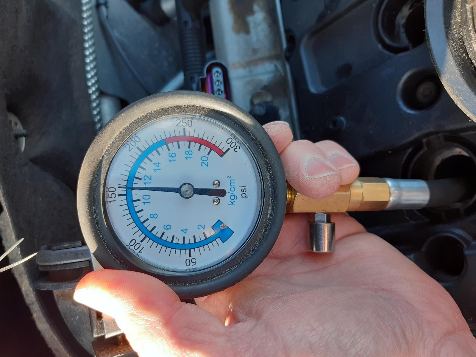 Contact us for Photo