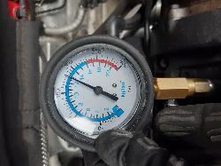 Contact us for Photo