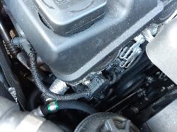 Contact us for Photo