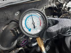 Contact us for Photo