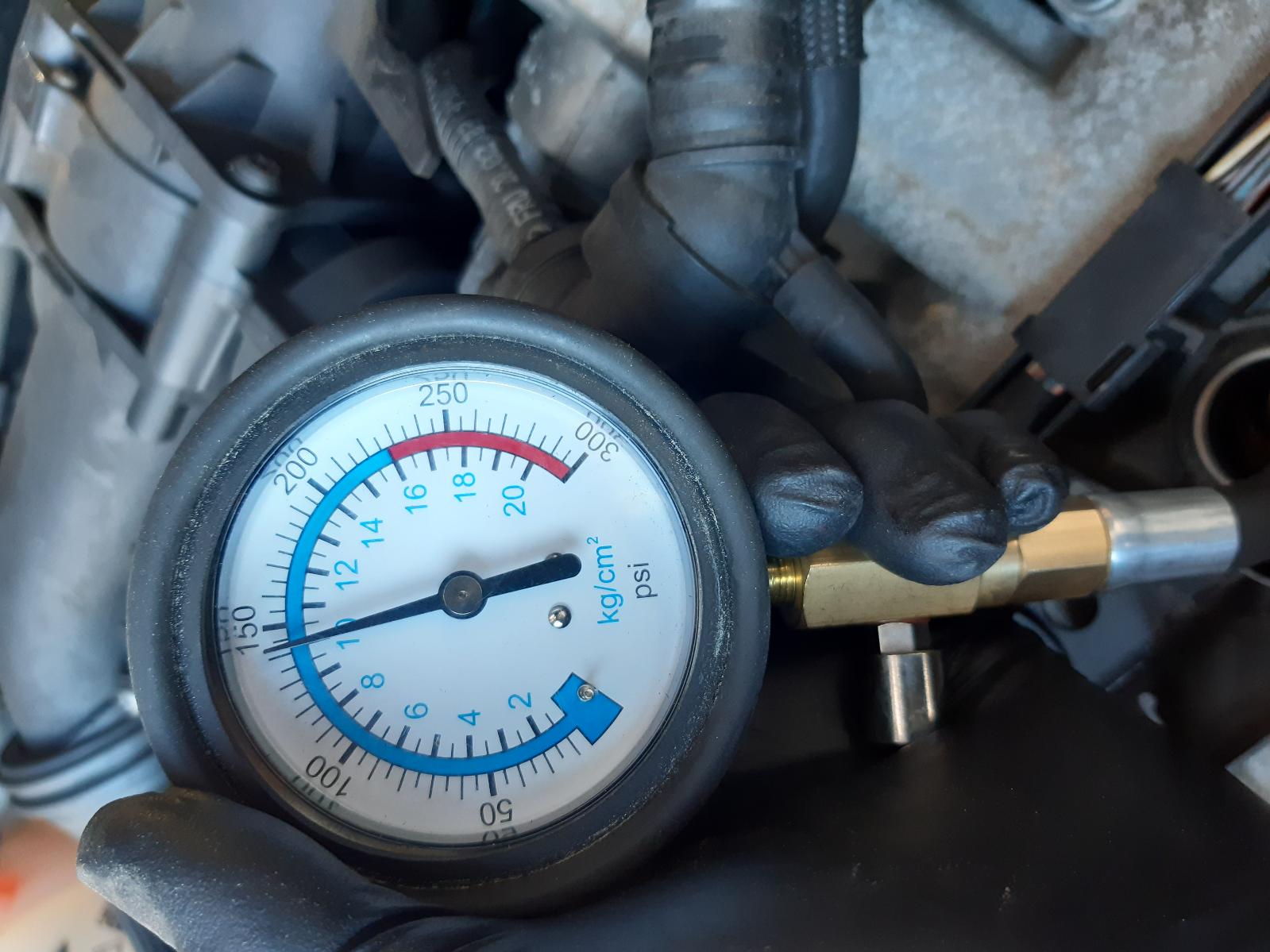 Contact us for Photo