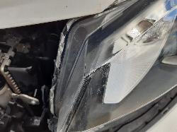 Contact us for Photo