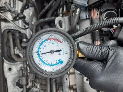 Contact us for Photo