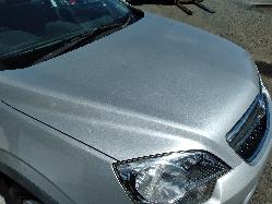 Contact us for Photo