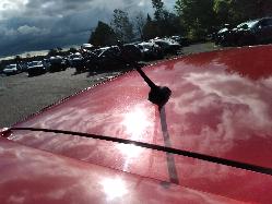 Contact us for Photo