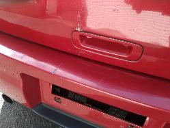 Contact us for Photo