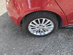 Contact us for Photo