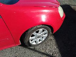 Contact us for Photo