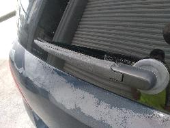 Contact us for Photo