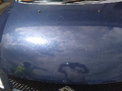 Contact us for Photo