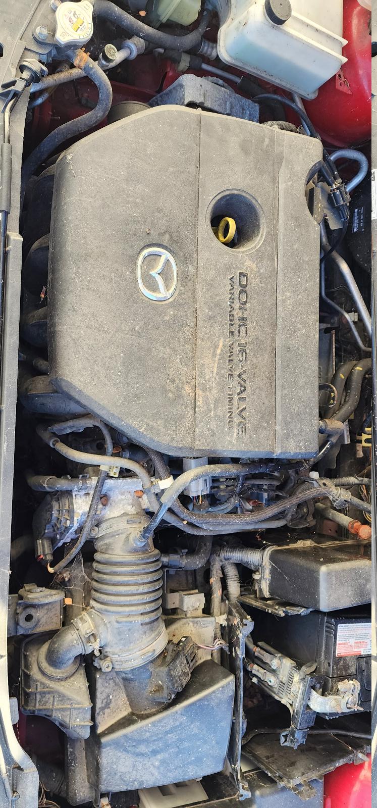 Contact us for Photo