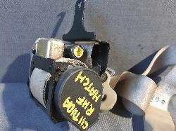 Contact us for Photo