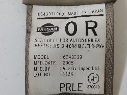 Contact us for Photo