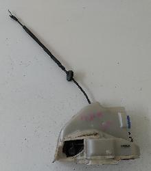 Contact us for Photo