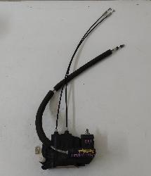 Contact us for Photo