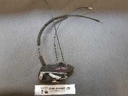 Contact us for Photo