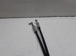 Contact us for Photo