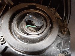 Contact us for Photo