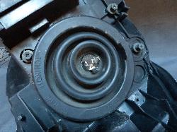 Contact us for Photo