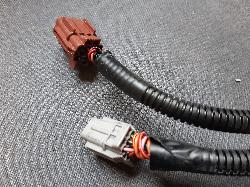 Contact us for Photo