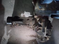 Contact us for Photo