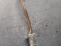 Contact us for Photo