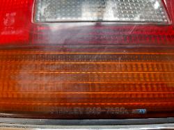 Contact us for Photo