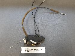 Contact us for Photo