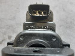 Contact us for Photo