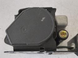 Contact us for Photo