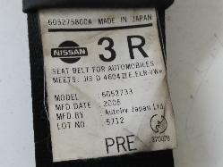 Contact us for Photo