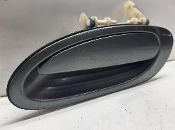 Contact us for Photo