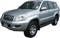 Contact us for Photo