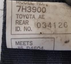 Contact us for Photo