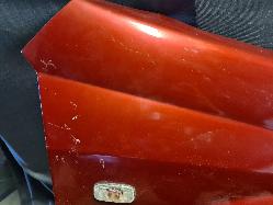 Contact us for Photo