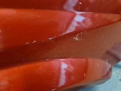 Contact us for Photo