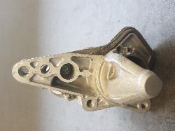 Contact us for Photo