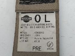 Contact us for Photo