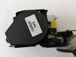 Contact us for Photo