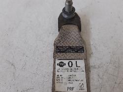 Contact us for Photo