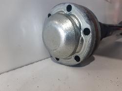 Contact us for Photo